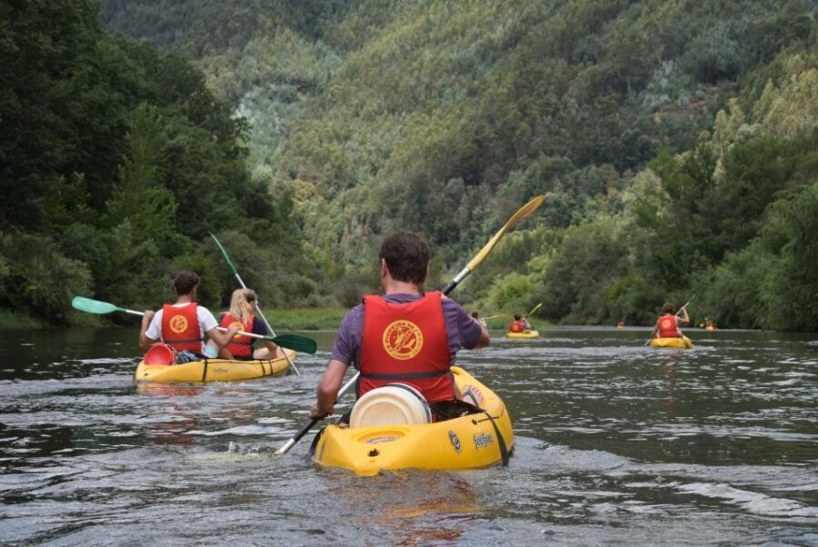 Coimbra: Mondego River Kayaking Tour - Morning setup in Penacova: bus ride, safety talk, then water