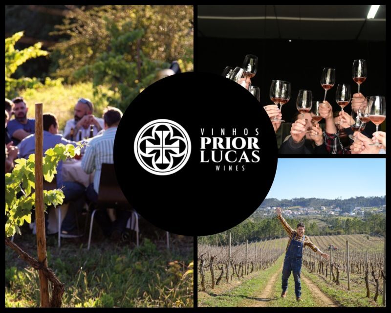 Coimbra: Prior Lucas Wine Experience - A quick practical checklist before you go