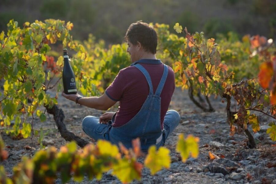 Coimbra: Prior Lucas Wine Experience - Getting to Souselas without stress: meeting point tips that save time