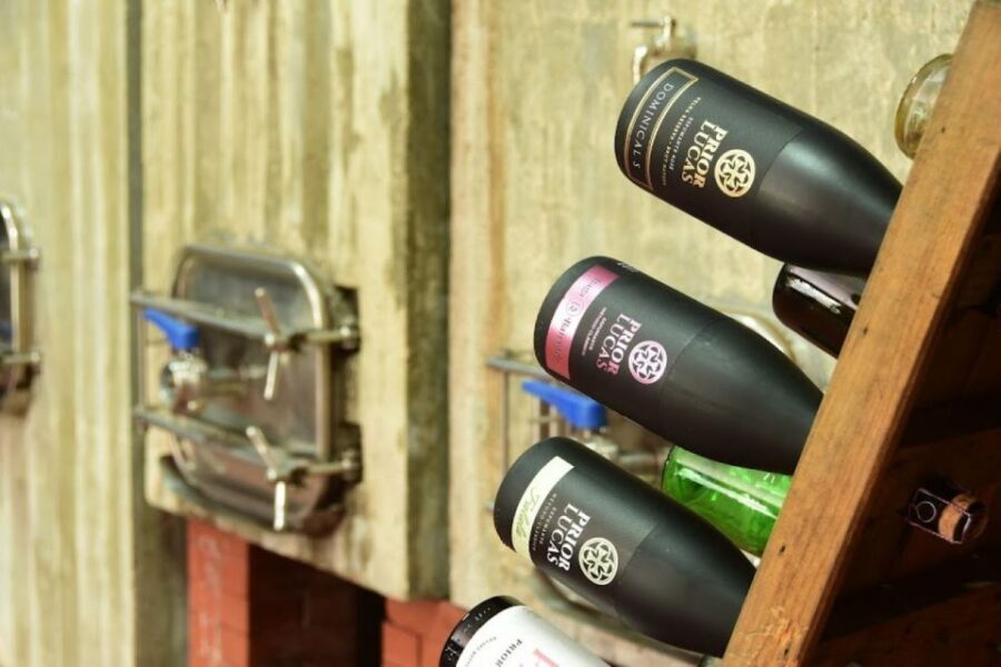 Coimbra: Prior Lucas Wine Experience - Cellar tour with real equipment: from crushing to temperature control