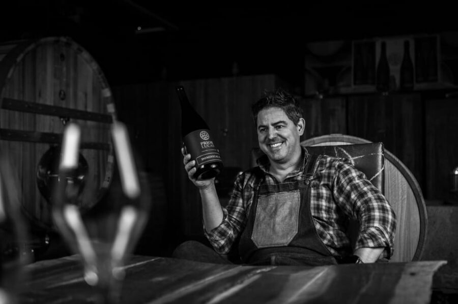 Coimbra: Prior Lucas Wine Experience - Sustainable wines: what to listen for during the explanations