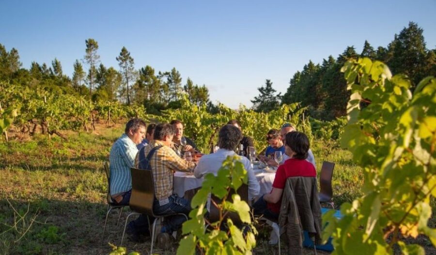 Coimbra: Prior Lucas Wine Experience - Options beyond tastes: when the meal pairing is worth it