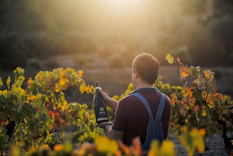 Coimbra: Prior Lucas Wine Experience - Price and value: is $47 a fair deal?