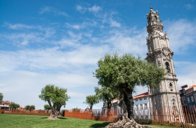 Combo: Porto City Half-Day Tour & Aveiro Half-Day Tour - Putting Porto and Aveiro Together Makes Sense