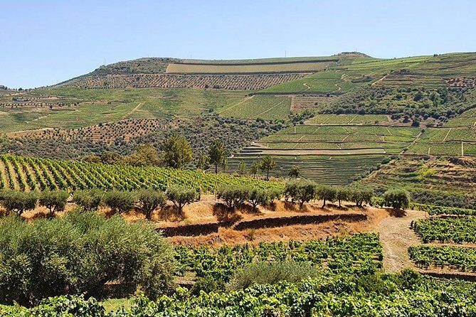 Complete Douro Valley Wine Tour with Lunch, Wine Tastings and River Cruise - The Quick São Cristovão do Douro Viewpoint Stop: Short, But Worth It