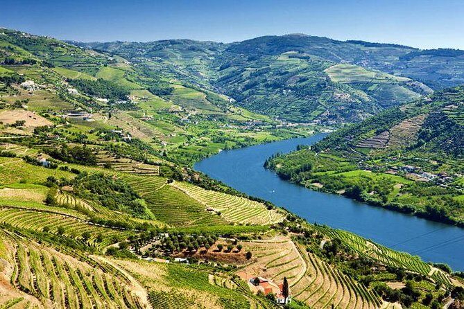 Complete Douro Valley Wine Tour with Lunch, Wine Tastings and River Cruise - Folgosa’s Final Winery Visit: Three Tastes and a Clear Finish Line