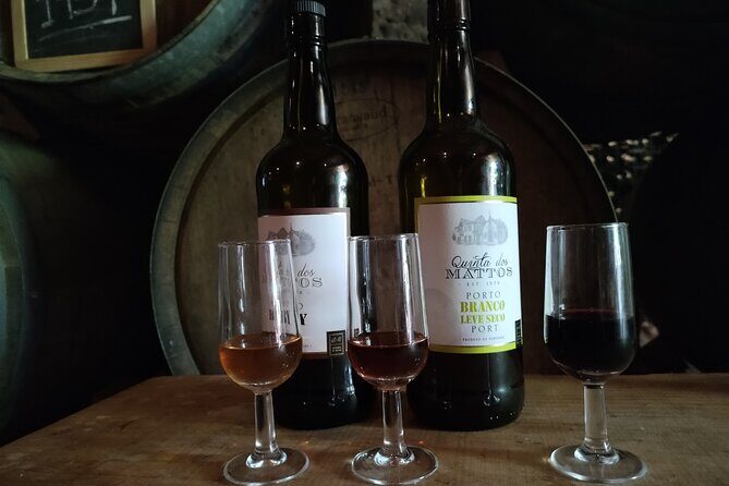 Complete Private Douro Valley Wine Tour - Peso da Régua: cellar-floor learning with barrel wood, stones, and chocolate