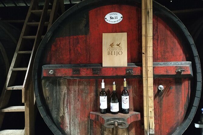 Complete Private Douro Valley Wine Tour - What you actually get to experience: tastings with a story behind them