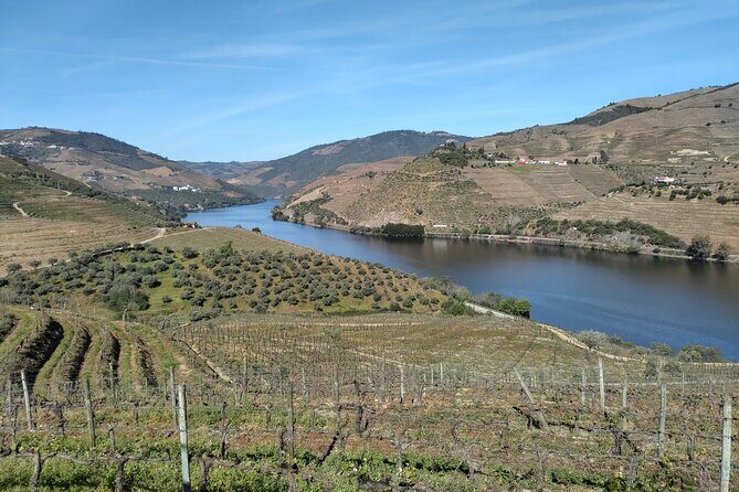 Complete Private Douro Valley Wine Tour - The boat ride and winery schedule: how to enjoy all nine hours
