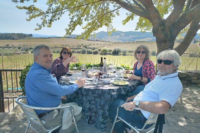 Complete Private Douro Valley Wine Tour - Comfort and practical perks that make the day feel easy