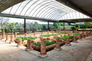 Conímbriga Roman Ruins & Museum | Private Tour - Seeing the Roman Ruins Without Feeling Like You Missed the Point