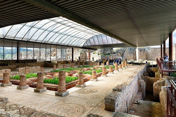 Conímbriga Roman Ruins & Museum | Private Tour - Private Tour Logistics That Actually Help (Pickup, Timing, and English)