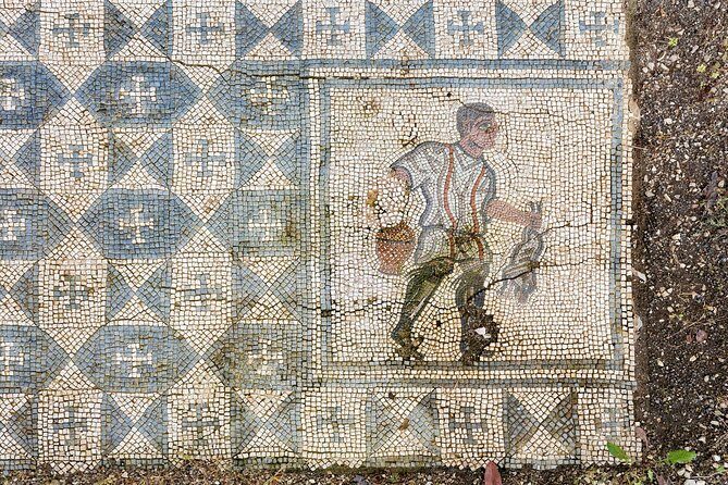 Conímbriga Roman Ruins & Museum | Private Tour - Morning vs Afternoon: Picking the Slot That Matches Your Energy