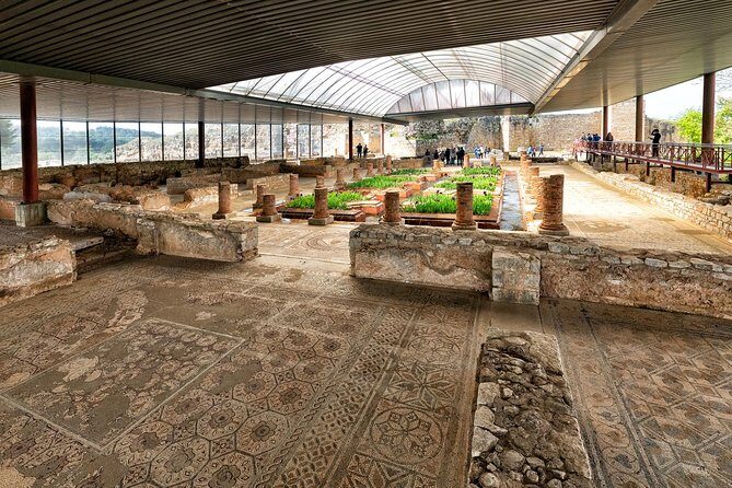 Conímbriga Roman Ruins & Museum | Private Tour - Pairing Conímbriga With the University of Coimbra