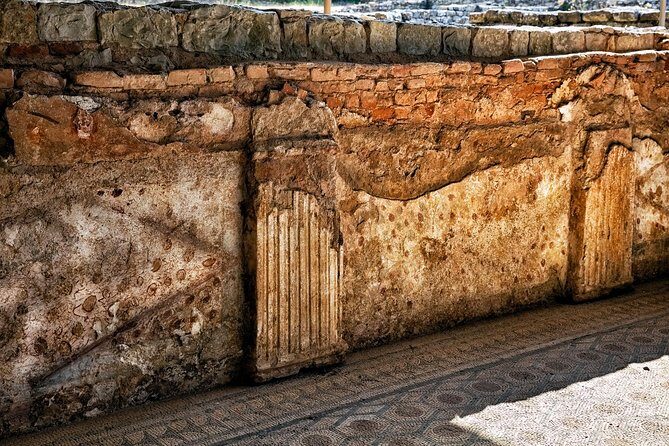 Conímbriga Roman Ruins & Museum | Private Tour - Who This Tour Suits Best