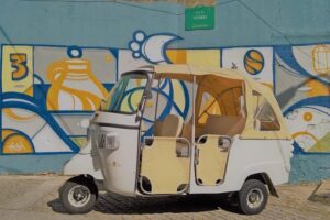 Cruise Shore Excursion - Private Tuk Tuk Tour to the Historic Center - First river views and seafaring Porto energy