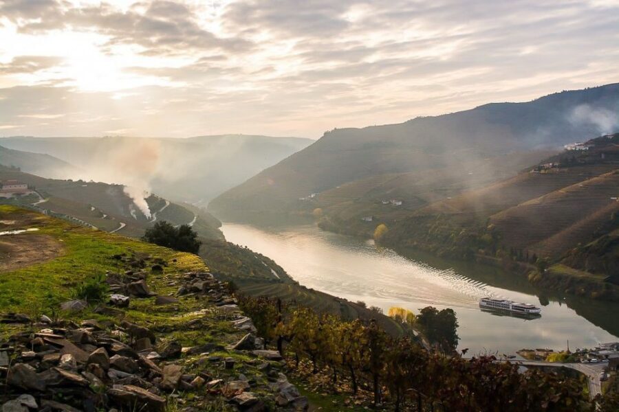 Day Cruise from Porto to Pinhão with Breakfast and Lunch - Vineyard Country: Terraces, Quintas, and What You’re Seeing