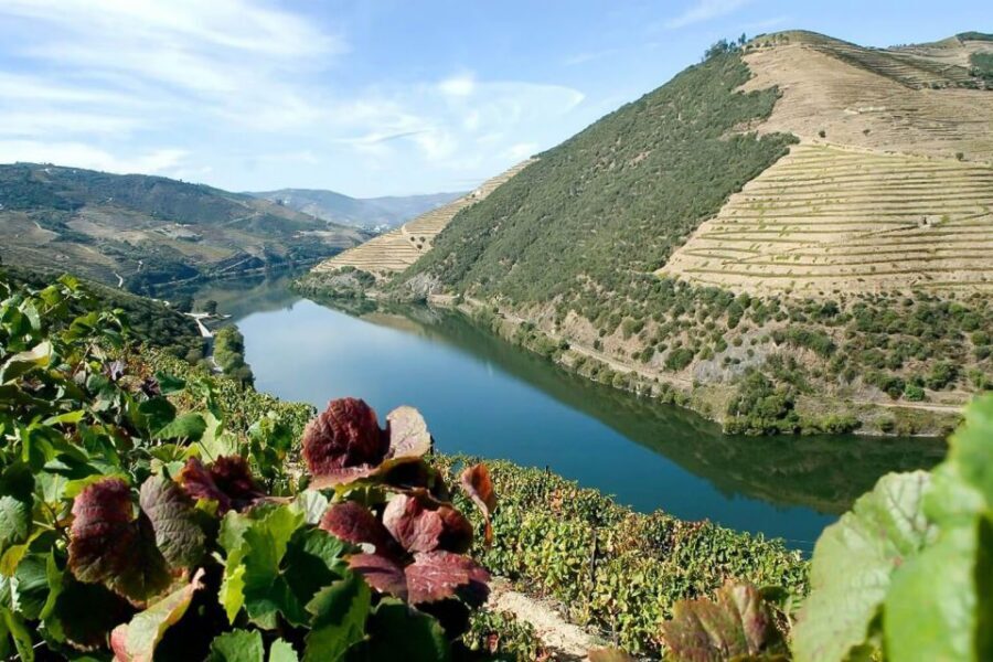 Day Cruise from Porto to Pinhão with Breakfast and Lunch - The Return to Porto by Bus: Plan for a Fast Finish