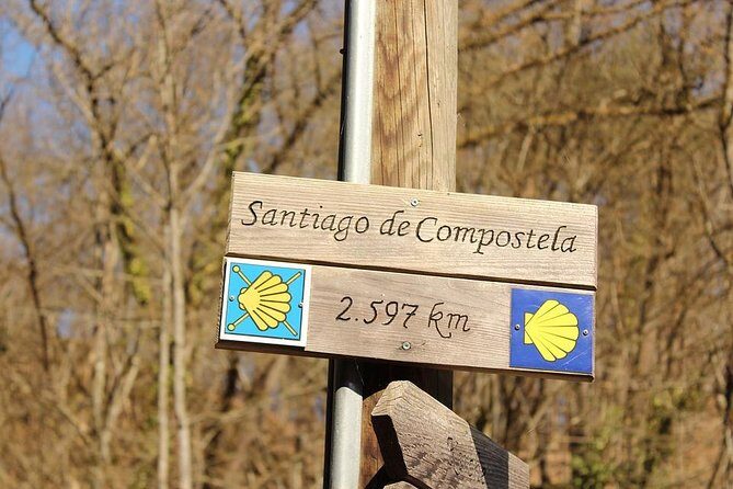 Day Trip from Porto to Santiago de Compostela and Valença - Lunch in Santiago: your best bet for Galician comfort food