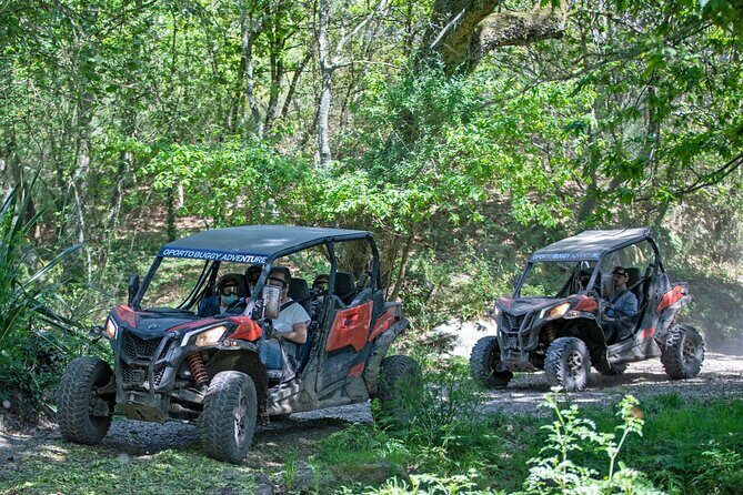 Dirt and Dust Tour by Oporto Buggy - Price and value: what $96.55 includes (and what to plan for)
