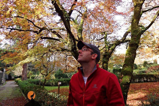 Discovering the charms and places of Coimbra - Botanical Garden of the University of Coimbra: a calm break with context