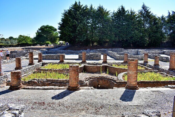 Discovering the Roman Ruins of Conímbriga and the Caves of Sicó - Key highlights you’ll care about