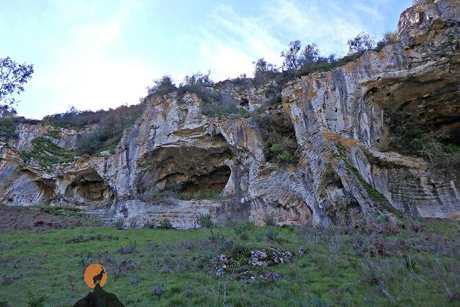 Discovering the Roman Ruins of Conímbriga and the Caves of Sicó - Sérgio’s guiding style: what stands out from the reviews