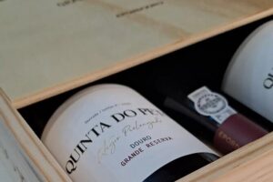 Douro and Port Wine Tasting in Vila Nova de Gaia - Arriving at Solar dos Dragos: Getting Started Smoothly