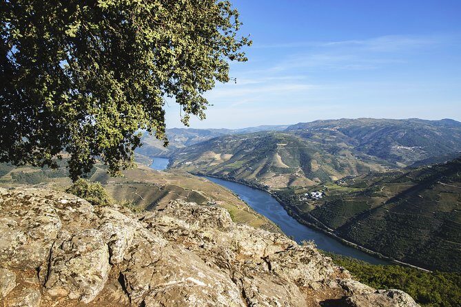 Douro Full Day Tour with Wine Tasting and Lunch - Why This Douro Day Feels Like a Best-of Package