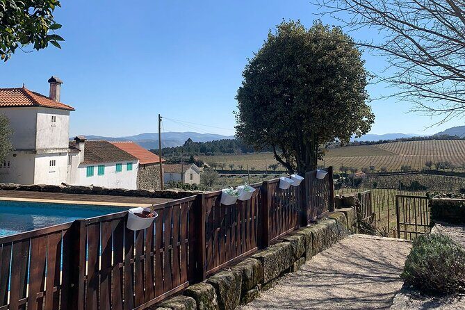 Douro Full Day Tour with Wine Tasting and Lunch - Getting Started at Cais da Régua (Next to Ideias Douro) at 9:30