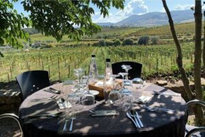 Douro Full Day Tour with Wine Tasting and Lunch - Quinta Coimbra de Mattos in Galafura: 5 Wines and How the Estate Thinks