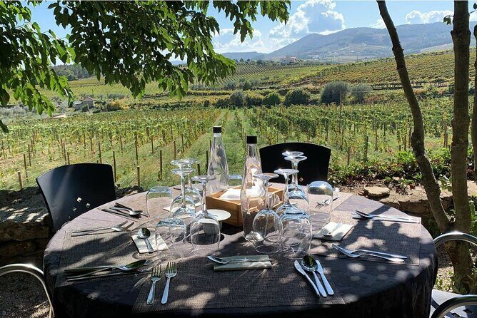 Douro Full Day Tour with Wine Tasting and Lunch - Quinta Coimbra de Mattos in Galafura: 5 Wines and How the Estate Thinks