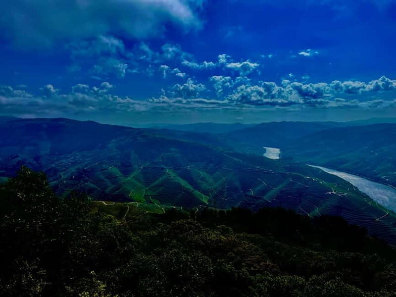 DOURO PREMIUM - A Small-Group Douro Day That Balances Views, Tasting, and Food