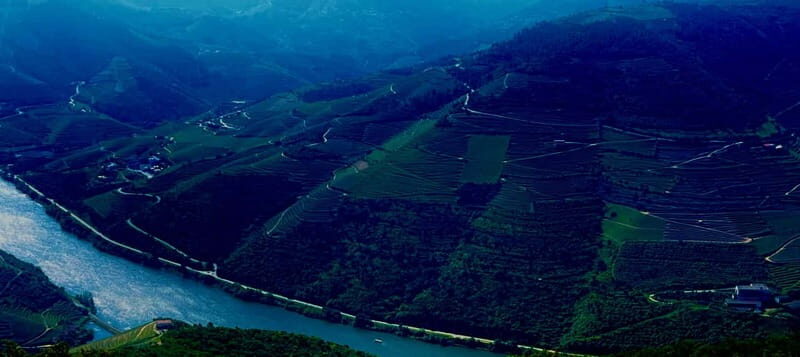 DOURO PREMIUM - The First Scenic Run: Photo Stops and Vineyard Views En Route