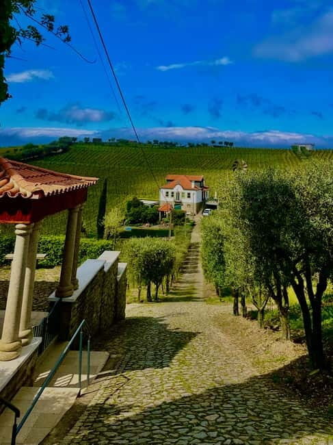 DOURO PREMIUM - Pinhão and the Douro River Boat Cruise (55 Minutes)