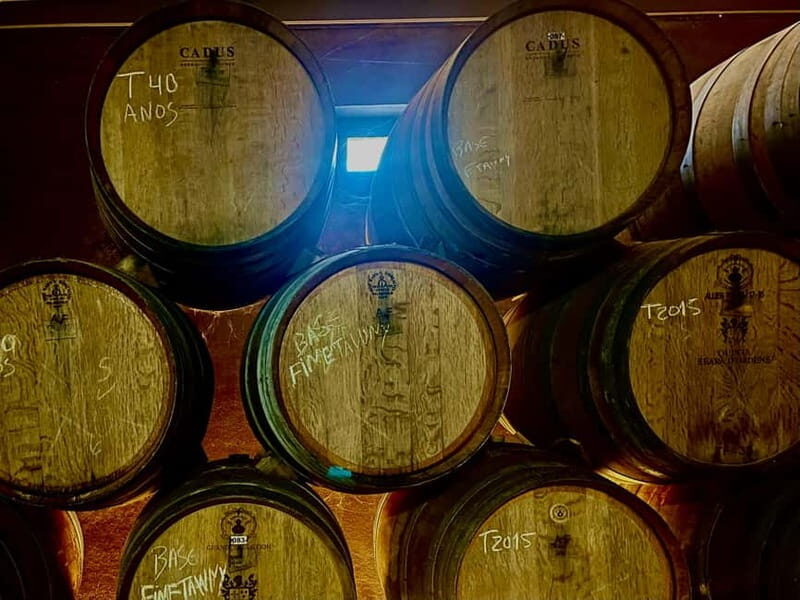 DOURO PREMIUM - The N222 Drive: Why This Scenic Road Is Part of the Experience