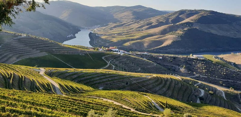 Douro Private Signature Tour – Customizable Experience - 5 Key Things That Make This Douro Private Signature Tour Worth Your Time