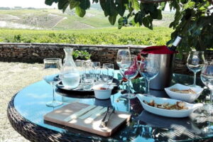 Douro Private Signature Tour – Customizable Experience - Porto Pickup and the N222 Scenic Drive With Miguel Torga Viewpoints