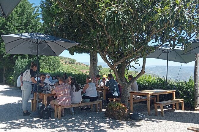 Douro Tour with Wine Tasting, River Cruise and Visit to Lamego - Lamego vineyard visit: family-owned tasting with real explanations