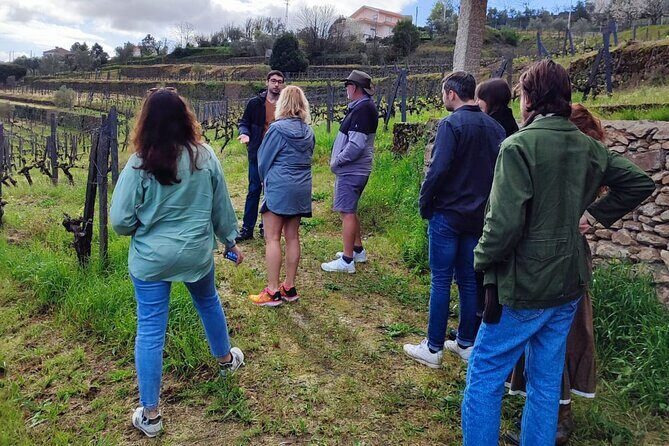 Douro Tour with Wine Tasting, River Cruise and Visit to Lamego - Pinhão and the Rabelo river cruise: the calm part of a busy day