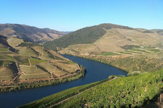 DOURO TOURS - Premium Tour - Two Quinta tastings: DOC Douro first, then Porto