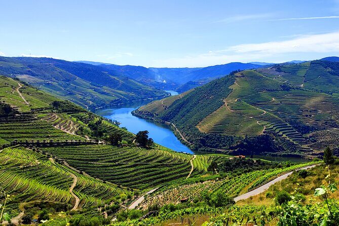 DOURO TOURS - Premium Tour - Meeting at the Douro Tours kiosk by the Cais Fluvial