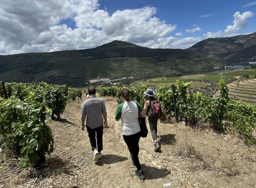 Douro valley: 10 km hike in the Valley - Midday picnic in the vines: how to pack so the afternoon stays fun