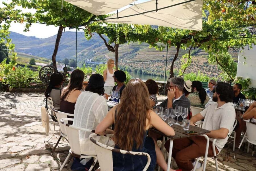 Douro valley: 10 km hike in the Valley - Pinhão arrival: explore the village, grab a drink, then choose the boat