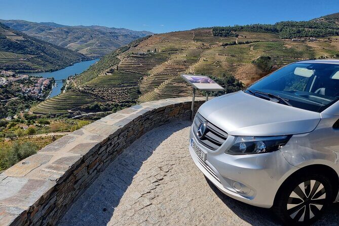 DOURO VALLEY & AMARANTE: Private Tour, Wine Tour and Cruise - A Traditional Douro Cellar Visit and Wine Tasting That Actually Explains