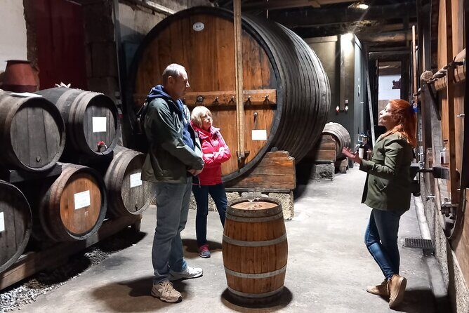 DOURO VALLEY & AMARANTE: Private Tour, Wine Tour and Cruise - Guide Factor: Why People Name Their Driver