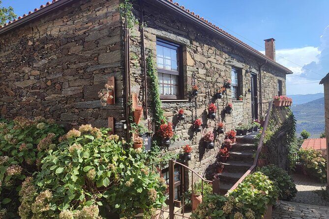 Douro Valley amazing wine Tours - Stop 1 in Peso da Régua: DOC tastings, Porto, and olive oil