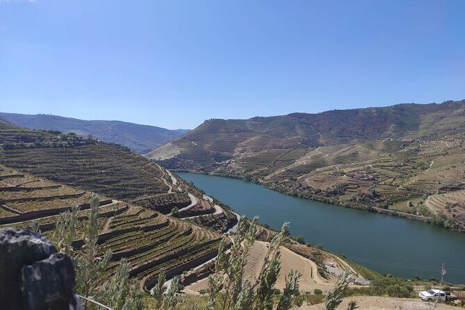Douro Valley amazing wine Tours - Valdigem finale: local producer wines plus olive oil