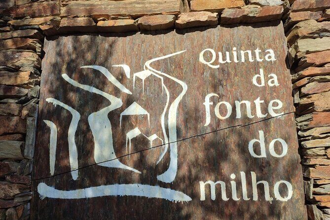 Douro Valley amazing wine Tours - Pickup, timing, and how the day really feels