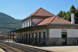 Douro Valley and Régua Panoramic Cruise with Lunch from Porto - Régua and the Port-wine connection you’ll actually remember